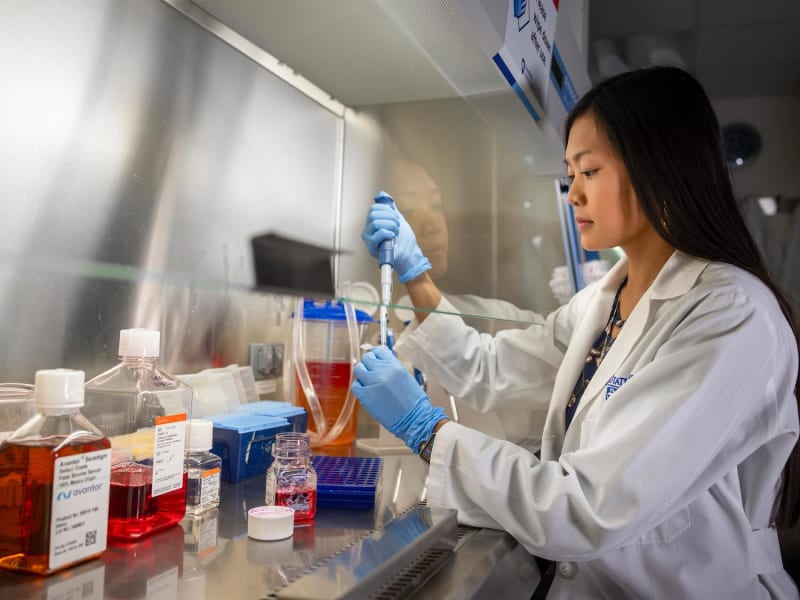 Overactive DNA Repair Gene EXO1 May Drive Cancer Development, Offering New Therapeutic Targets