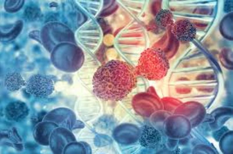 New Research Reveals Why Some Cells With Double DNA Defy Death: Implications for Cancer and Aging
