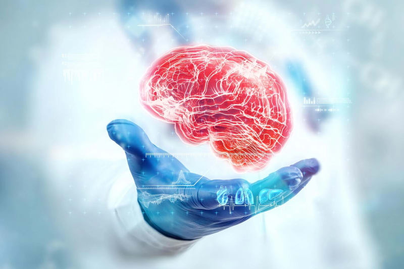 Anti Aging Drug Combination Linked to Severe Brain Damage in Preclinical Study
