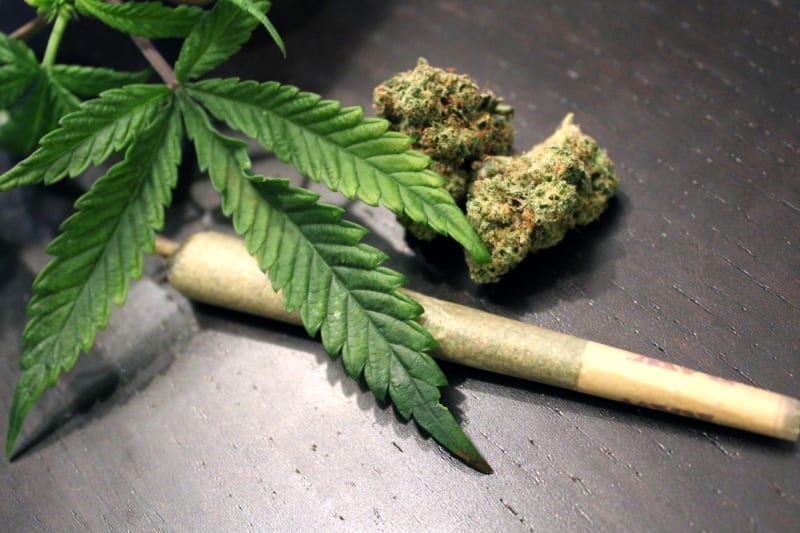 Cannabis and Nicotine Use Linked to Higher Complications After Leg Fracture Surgery, Study Finds