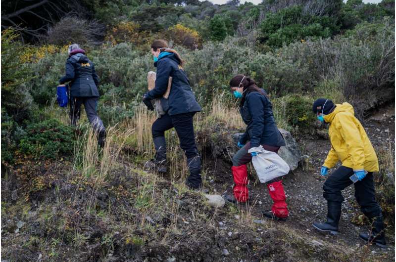 Argentina Intensifies Hantavirus Investigation as Cruise Ship Outbreak Raises Alarm