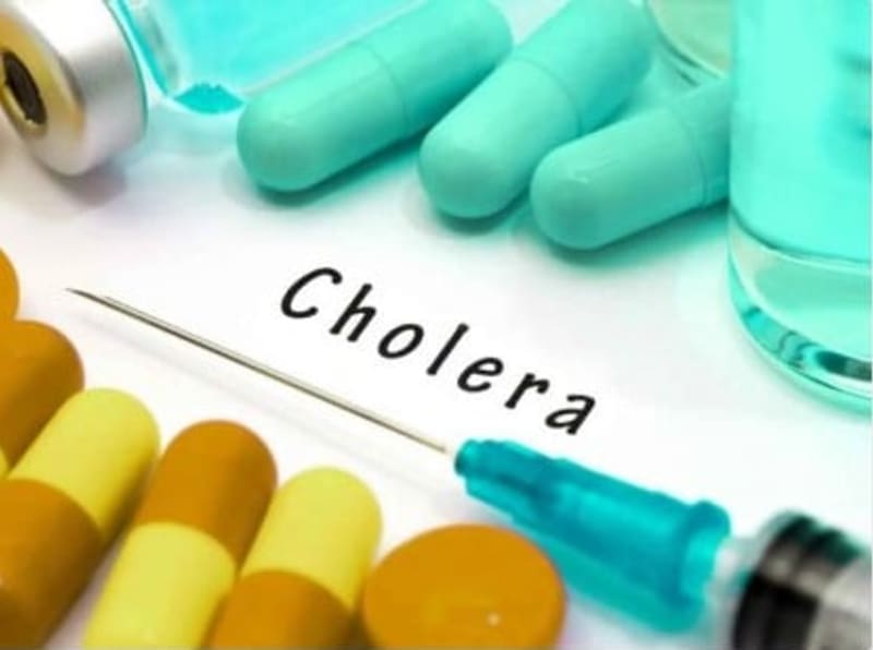 Contaminated Dam Sparks Cholera Crisis in Northeast Nigeria: Nearly 3,000 Infected as Public Health Defenses Collapse