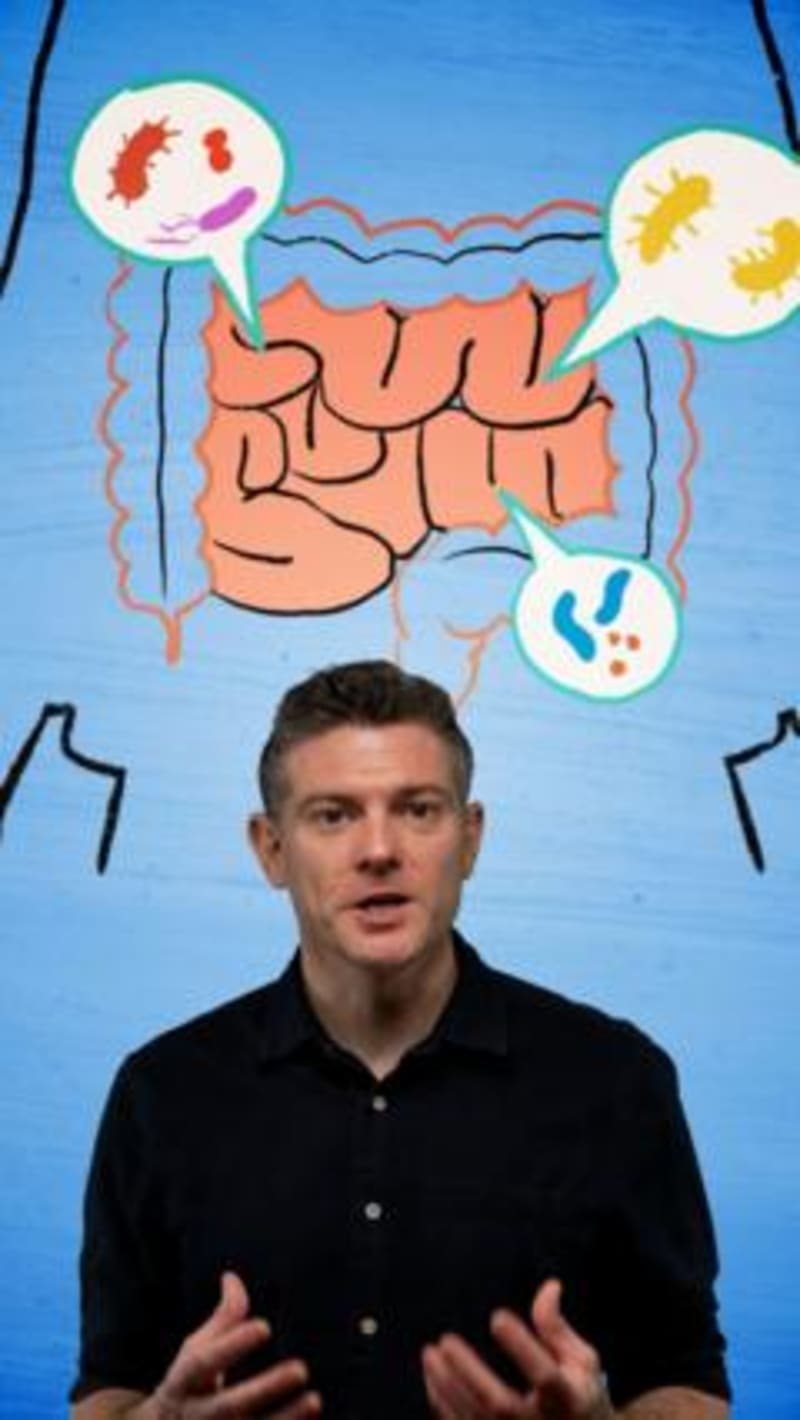 The Gut Brain Axis: How Your Digestive System Influences Mental Health