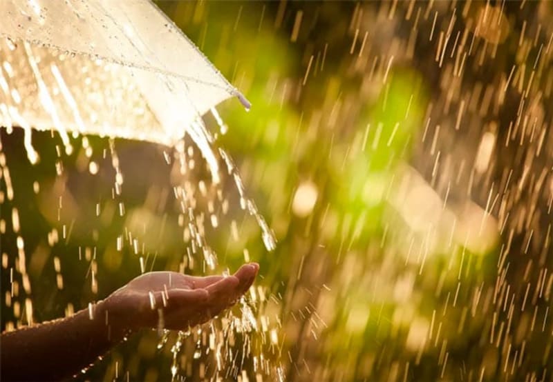 Zamfara's Rainy Season Triggers Deadly Surge in Malaria, Cholera, and Malnutrition