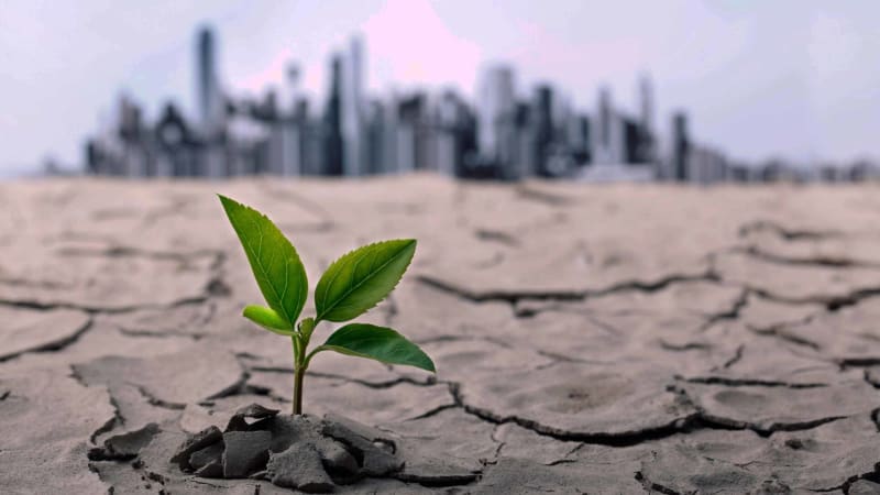 Global Health Leaders Urge Tripling of Climate Adaptation Funding to $120 Billion Amid Rising Health Threats