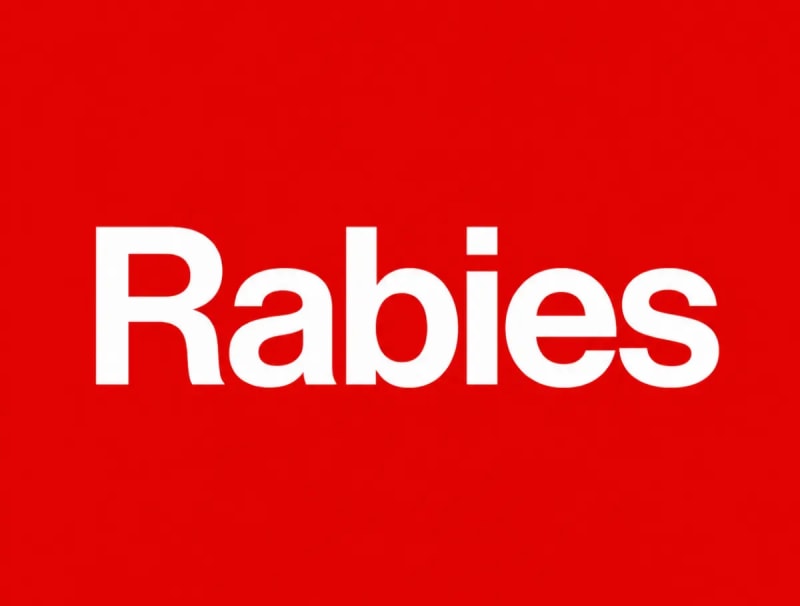 Uganda Faces Rabies Crisis as Vaccine Shortage Claims Four Lives