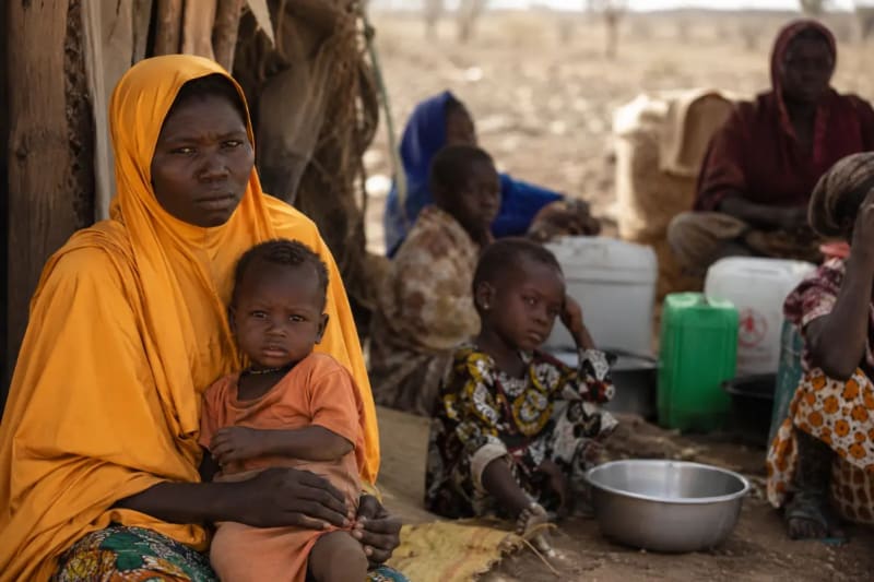 Nigeria Faces Severe Hunger Crisis with 17 Million at Risk by 2027