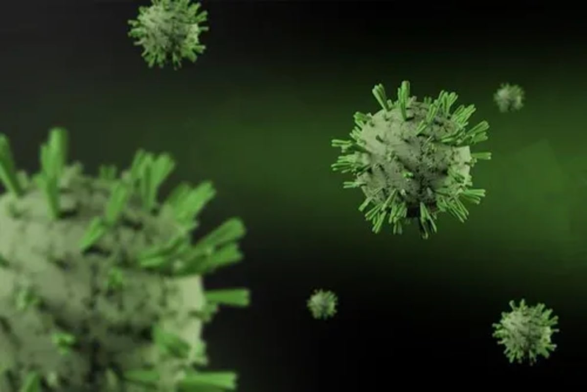 Hantavirus Cases Rise: Public Health Experts Urge Vigilance Without Alarm