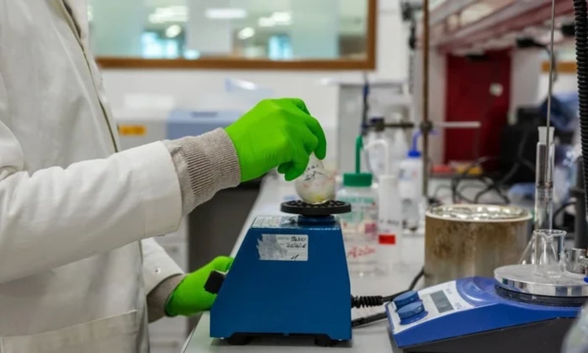 Scientists Decode Cellular Sugar Patterns: A Potential Breakthrough in Early Disease Detection