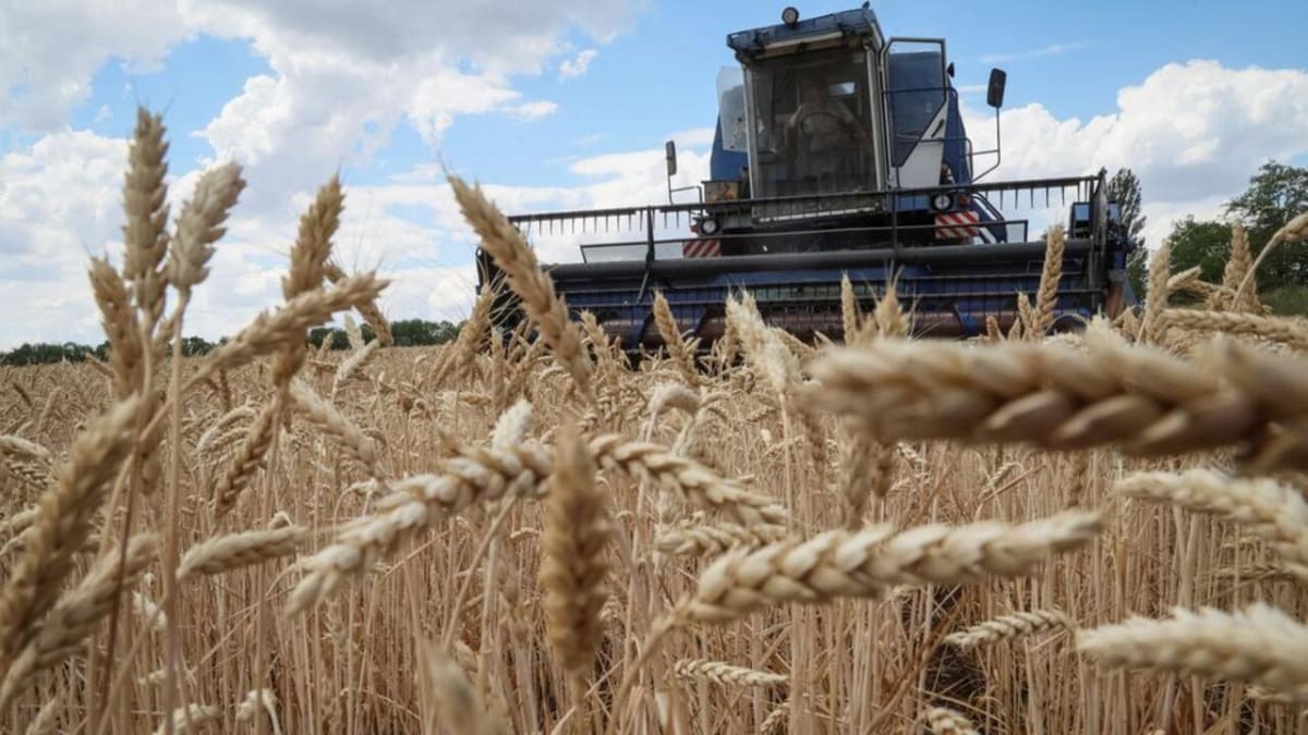France Moves to Reduce Cadmium in Dietary Staples as Health Risks Mount