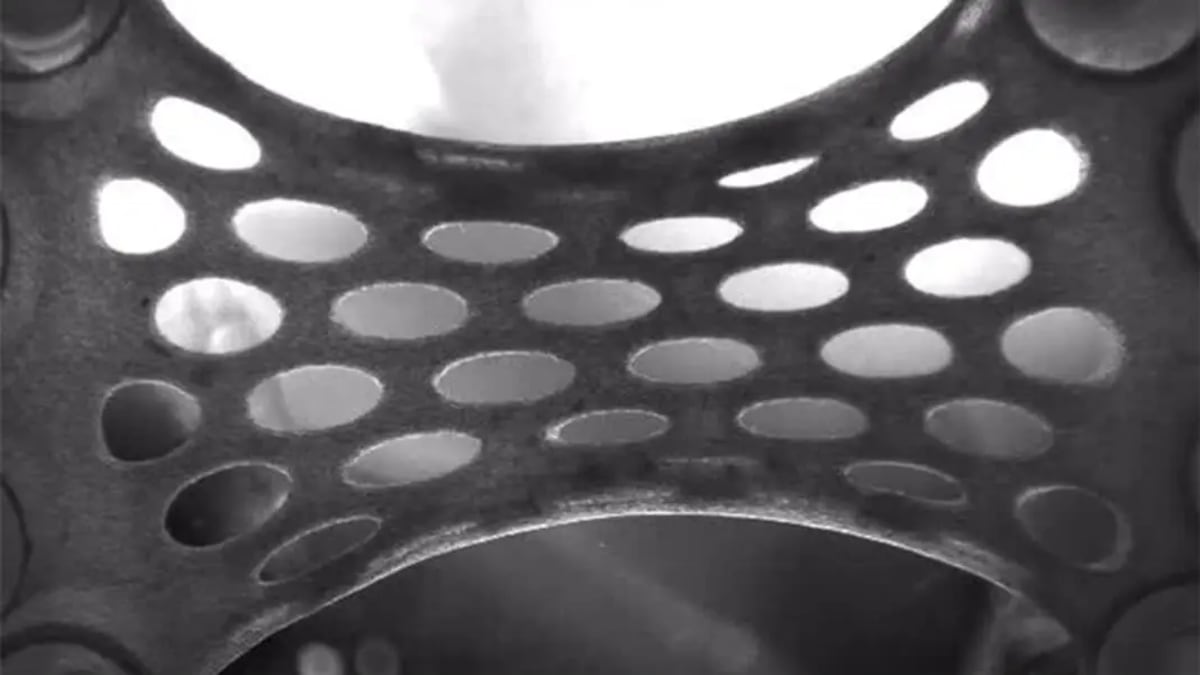 Lab Grown Heart Tissue Offers New Hope for Heart Attack Recovery