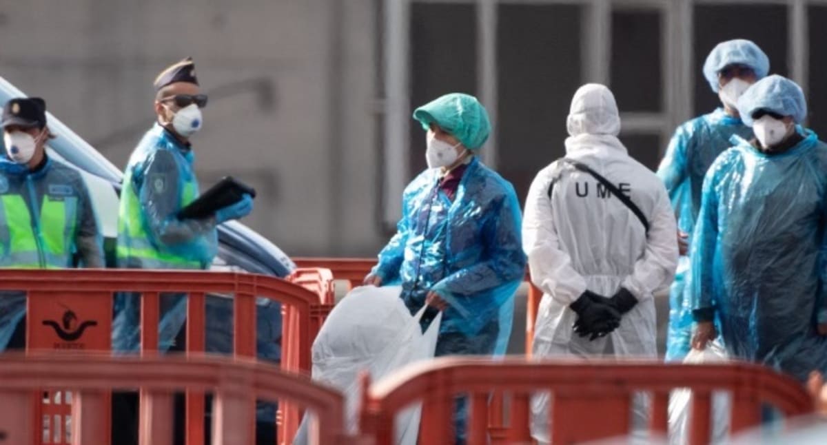 Hantavirus Clusters Detected in Six Countries Prompt WHO Coordination Effort
