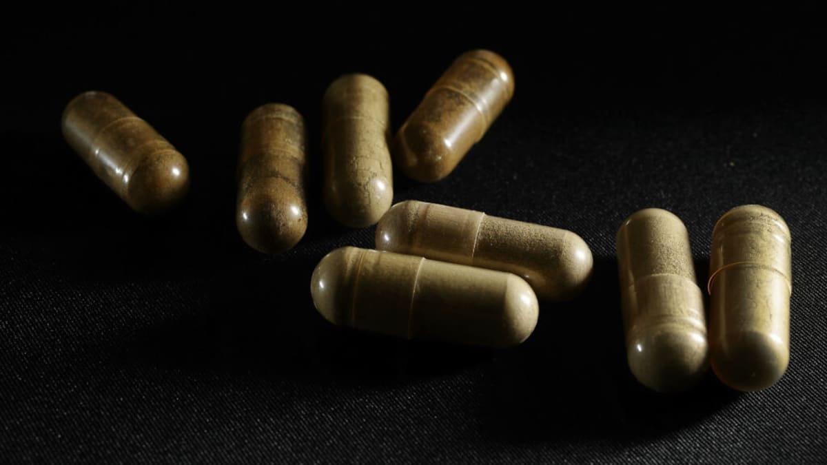 Trump Administration Weighs Approval of Kratom Derivative 7 Hydroxymitragynine Amid Safety Concerns