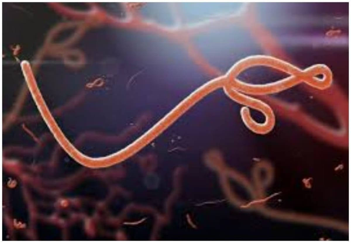 WHO Declares Public Health Emergency as Deadly Bundibugyo Ebola Strain Spreads Across DRC and Uganda