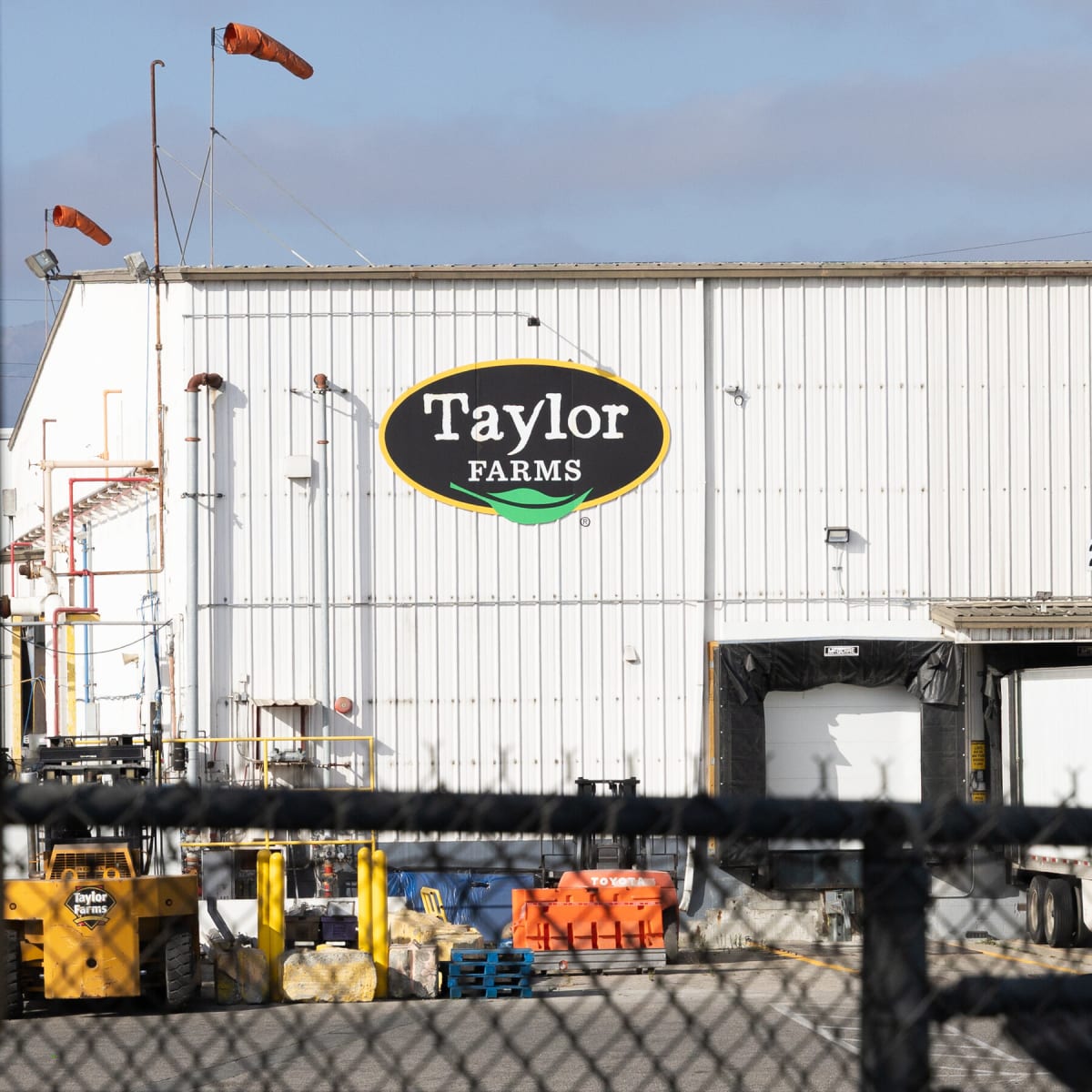 Cyclospora Outbreak Triggers Nationwide Recall of Taylor Farms Iceberg Lettuce: What Consumers Need to Know