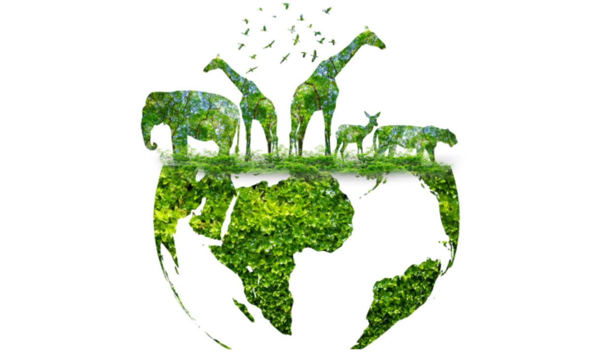 Environmental DNA Emerges as a Silent Sentinel in Global Health and Ecology