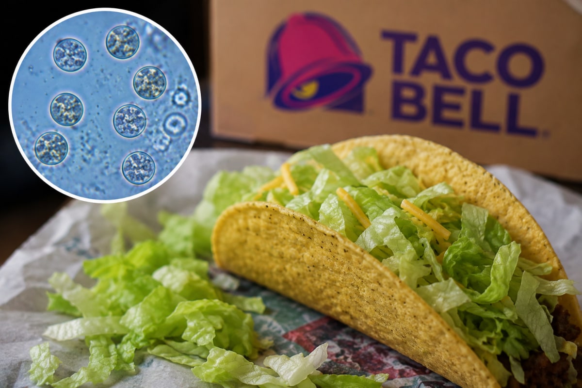 Cyclospora Outbreak Linked to Taco Bell Lettuce: What You Need to Know
