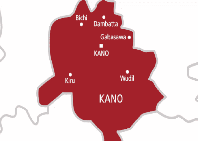 Kano State Intercepts $130,000 Worth of Counterfeit Medicines in Major Public Health Crackdown