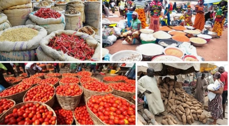 Youth Led Agricultural Training in Nigeria Aims to Strengthen Food Security and Economic Resilience