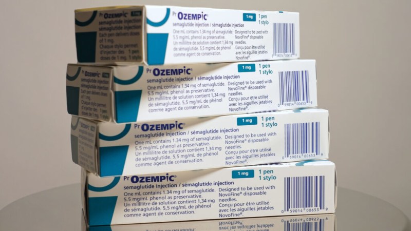 Trump’s Obesity Drug Deal With Eli Lilly and Novo Nordisk Hits Regulatory Snag