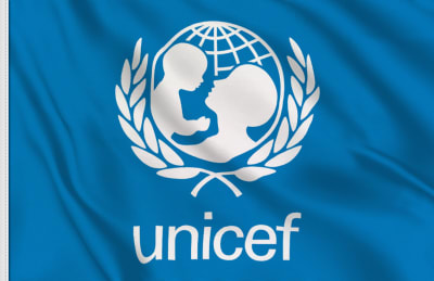 Nigeria's Child Health Crisis: UNICEF Warns Economic Pressures Threaten Decade of Progress