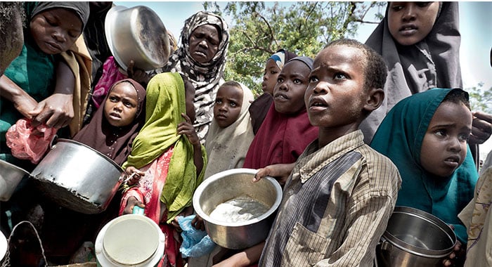Northern Nigeria Faces Worst Hunger Crisis in a Decade as Conflict and Funding Cuts Deepen Food Insecurity