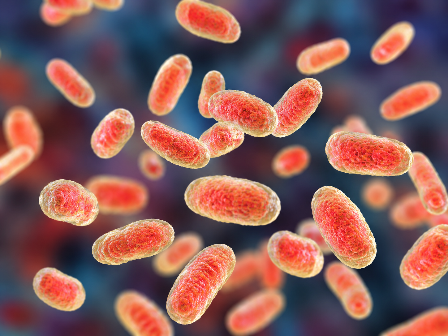 Q Fever: Causes, Symptoms, and How to Protect Yourself
