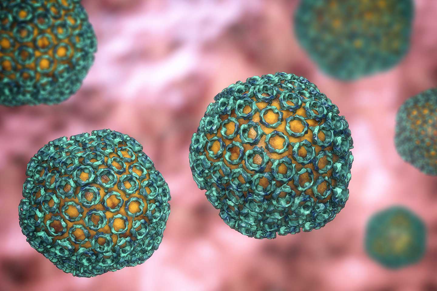 Rift Valley Fever: Causes, Symptoms, and Prevention