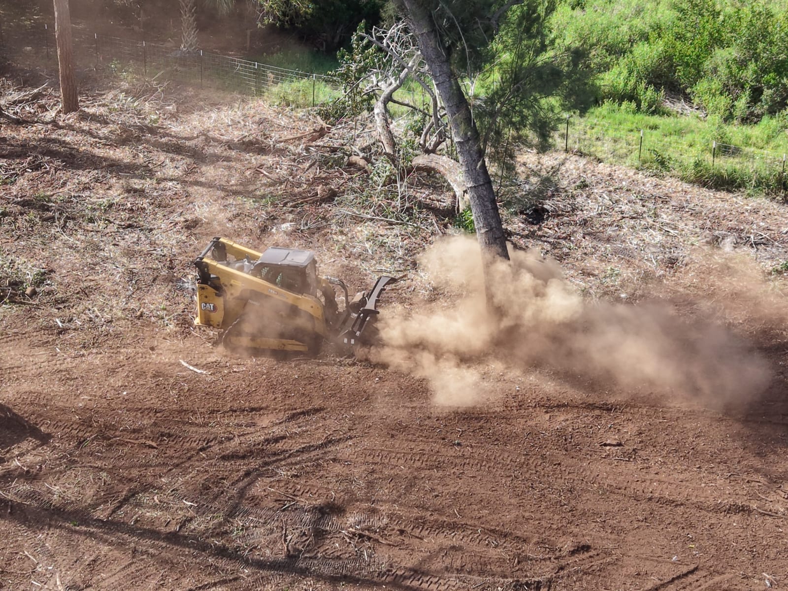 Real AllJax land clearing & forestry mulching project photography