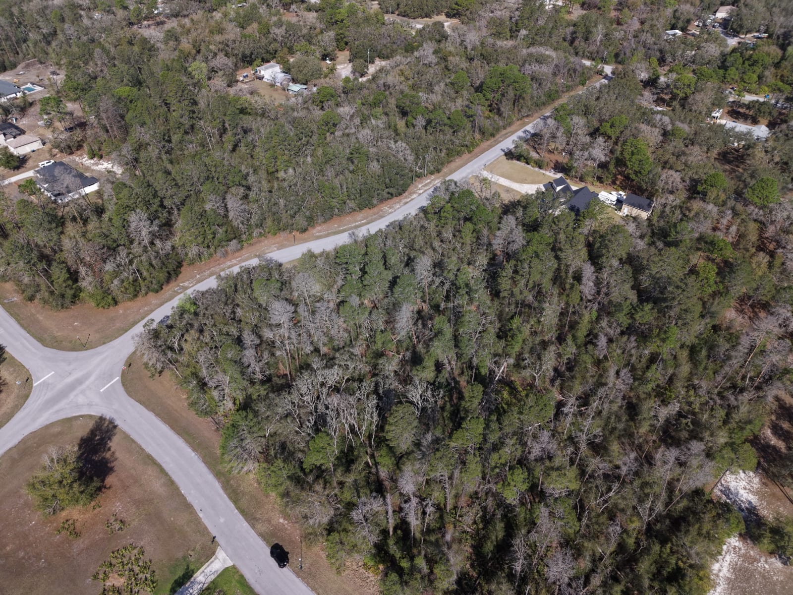 Real AllJax project photography supporting Land Clearing & Forestry Mulching work