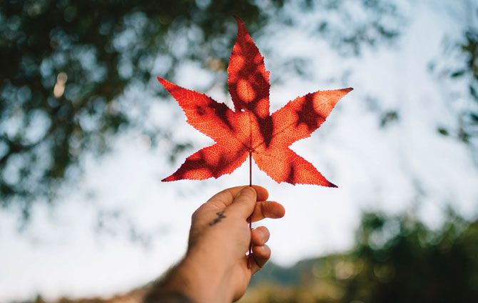 brian gentles - mortgage broker