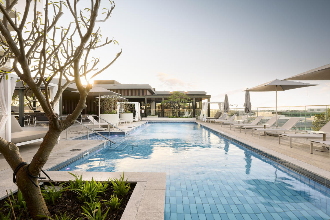 Rooftop pool, a frangipani tree sits in the foreground with deck chairs lined up on the right hand side. The sun is low and the lighting is soft.