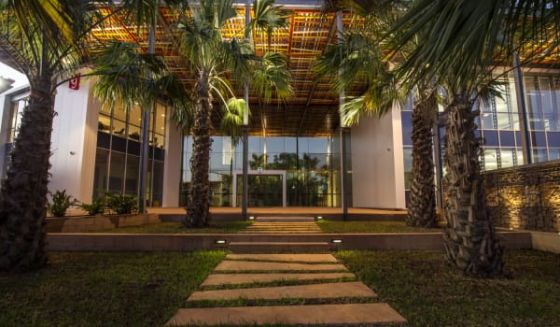 The canopies of the palms give way to the re-imagined tree canopy of the building’s roof.