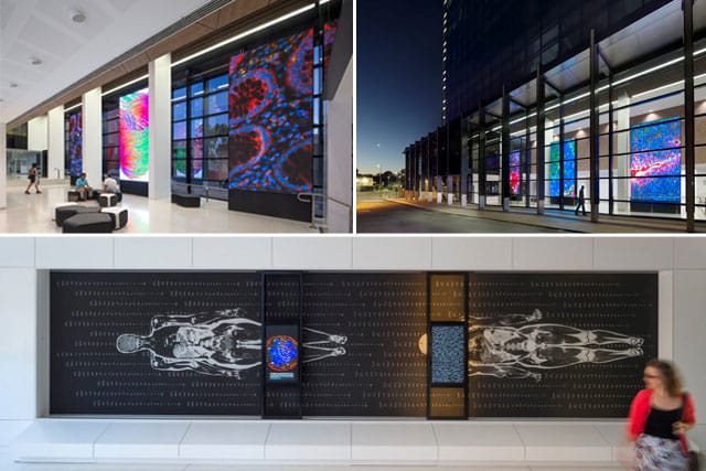 Examples of the stunning art installations found at the new Harry Perkins Institute of Medical Research