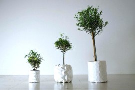 'Growth' by Studio Ayaskan