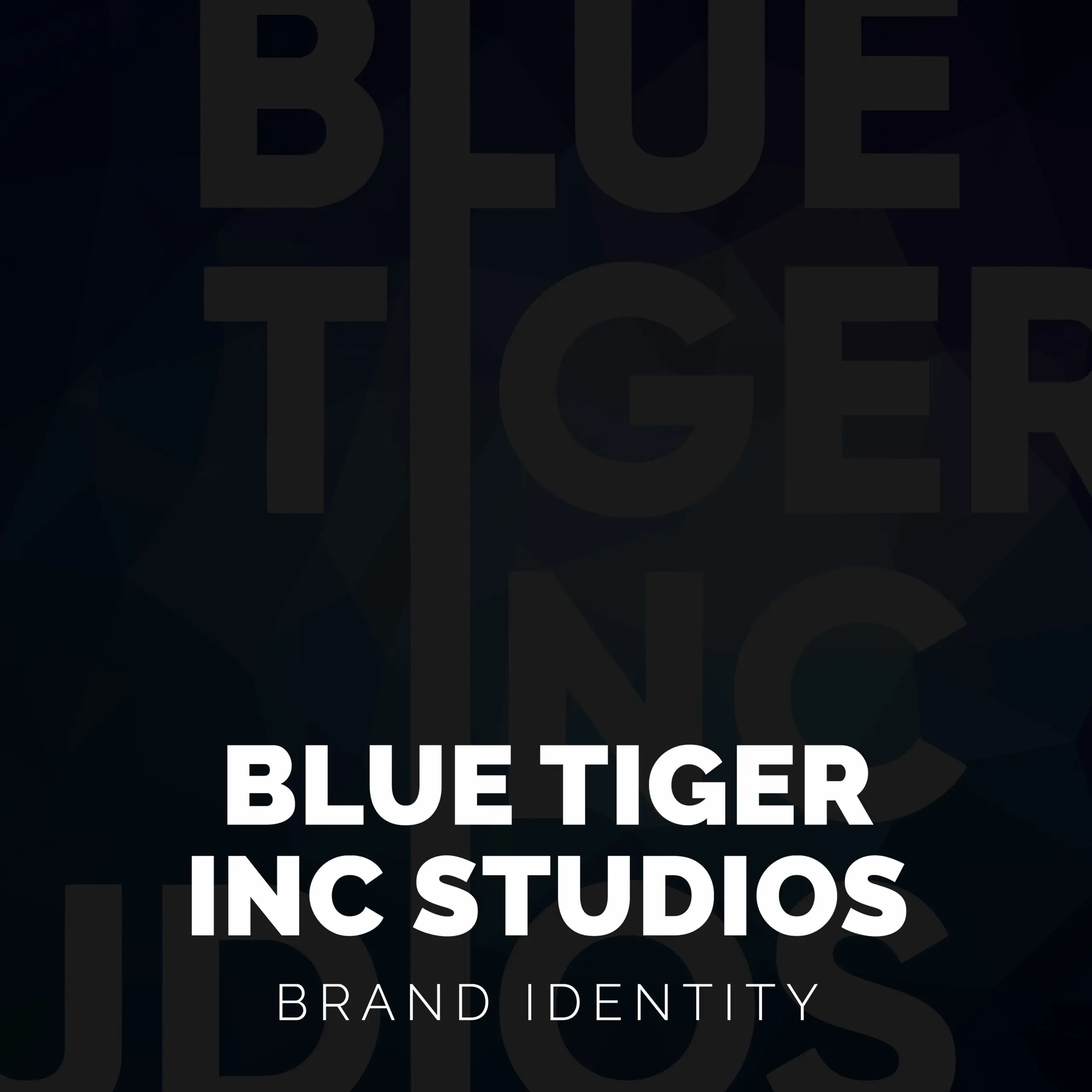 Blue Tiger Inc Studios
