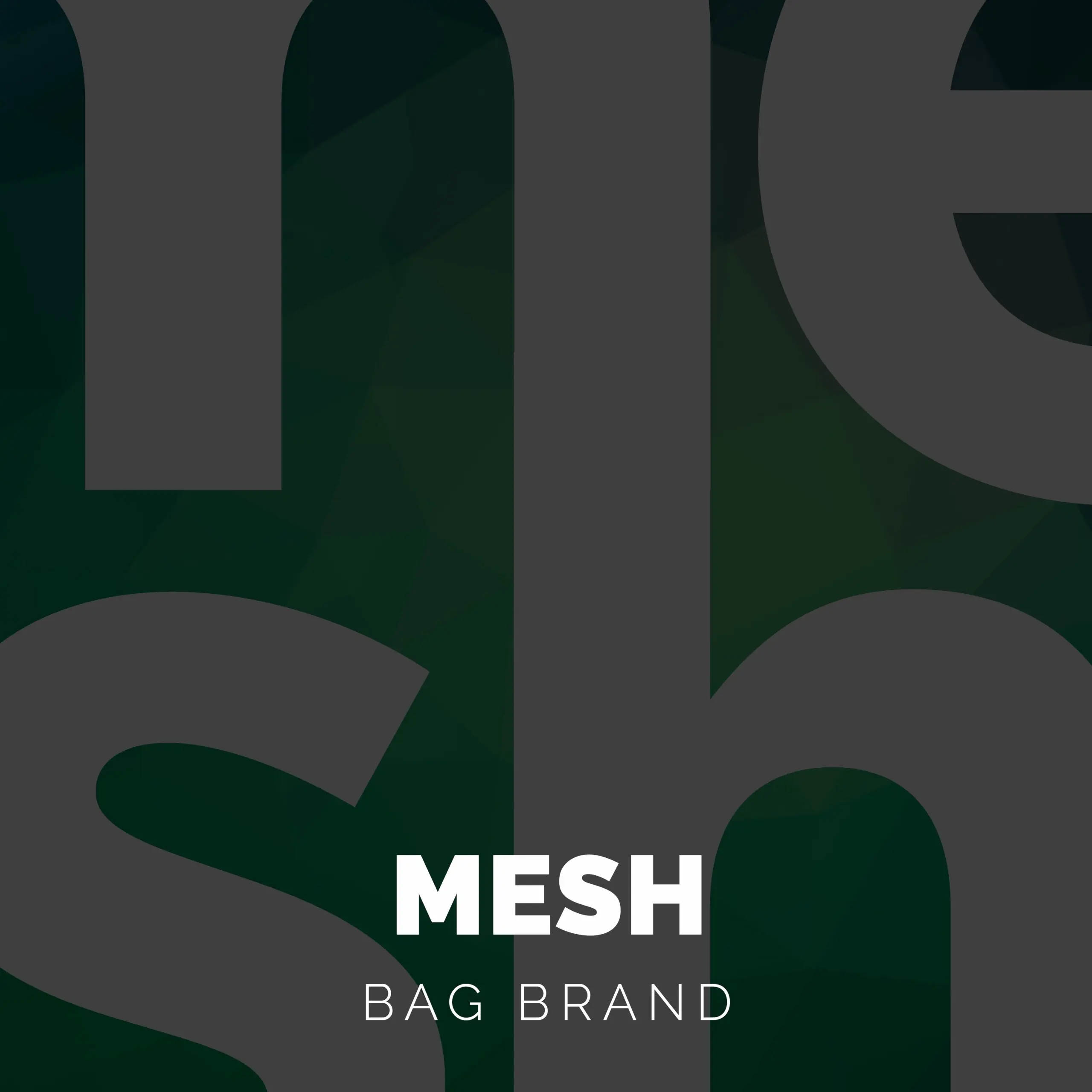 Mesh Bag System