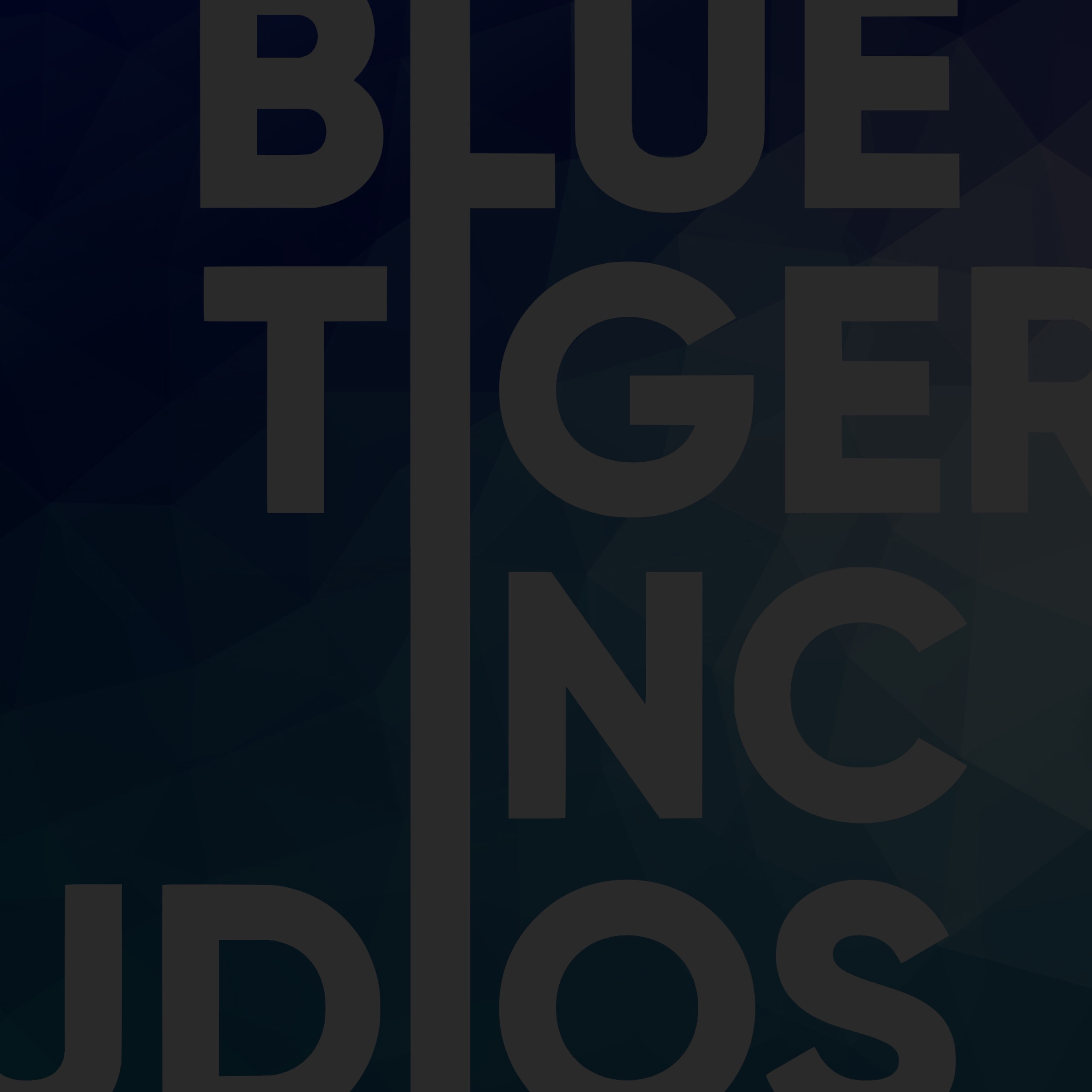 Blue Tiger Inc Studios