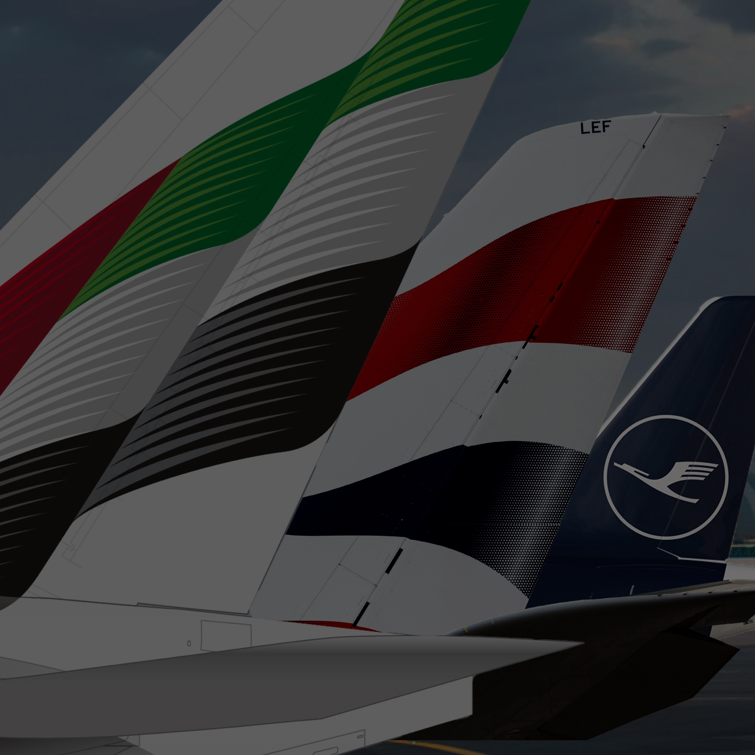 Flying Colors