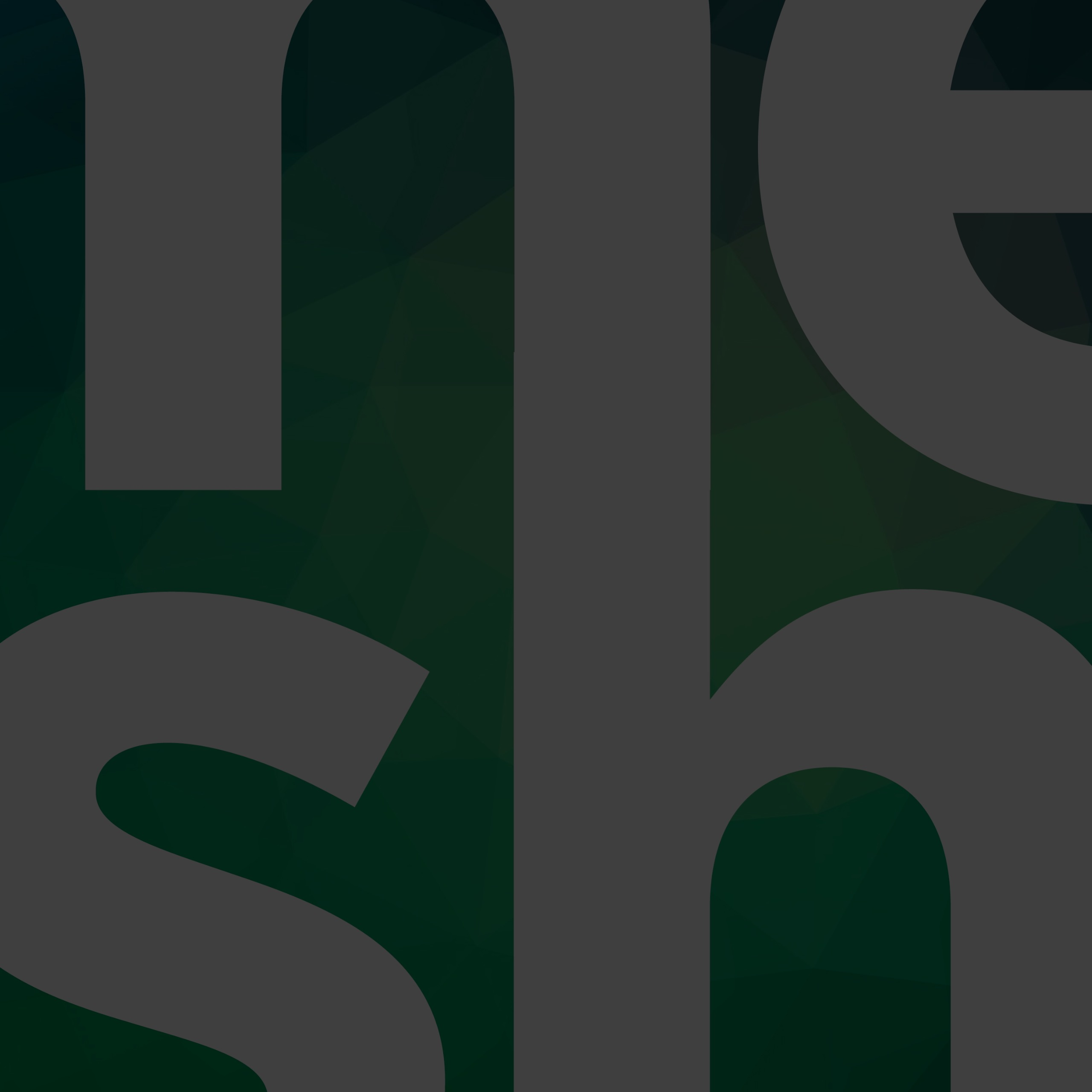 Mesh Bag System