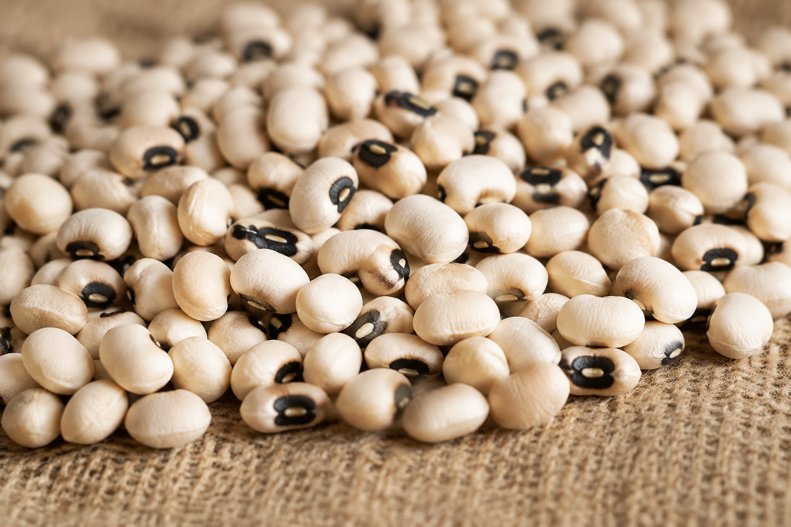 Black-eyed Peas, Pinal County, Arizona