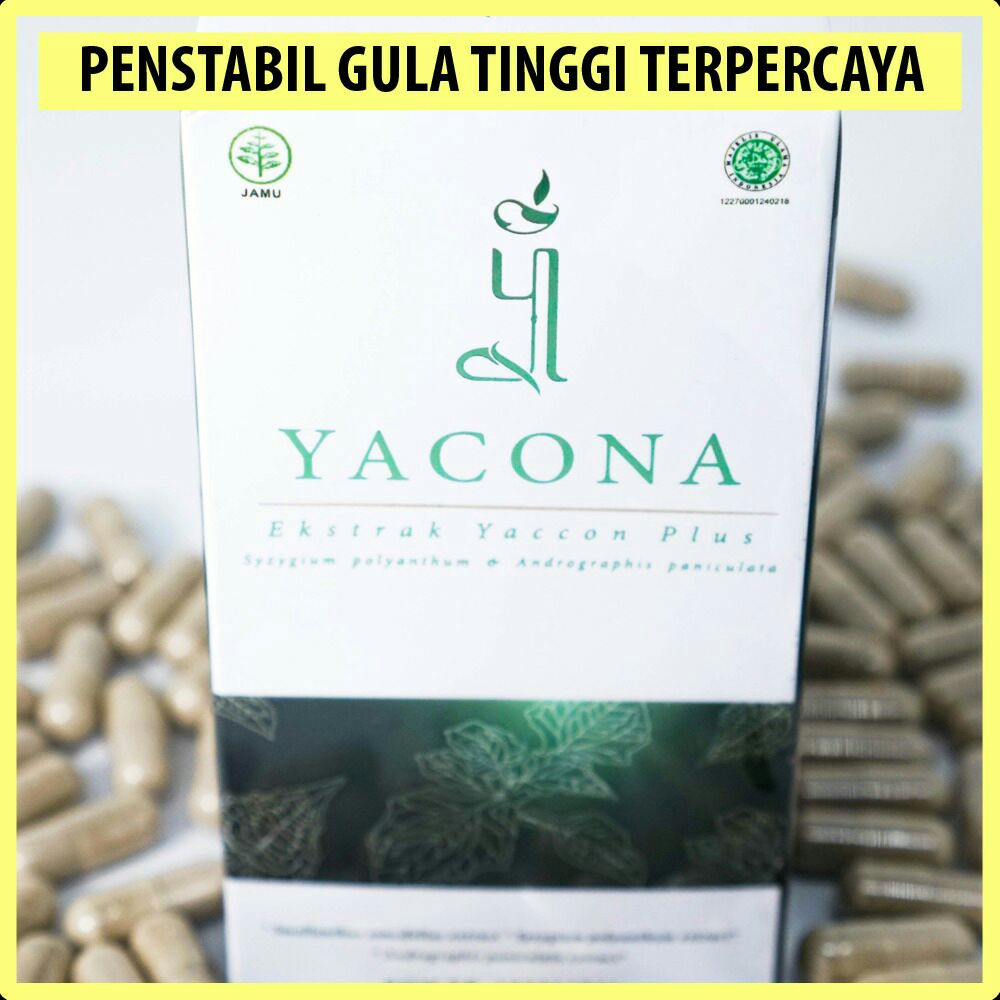 Promo Yacona Herbal Penurun  Gula  Darah  Kolesterol Paling 