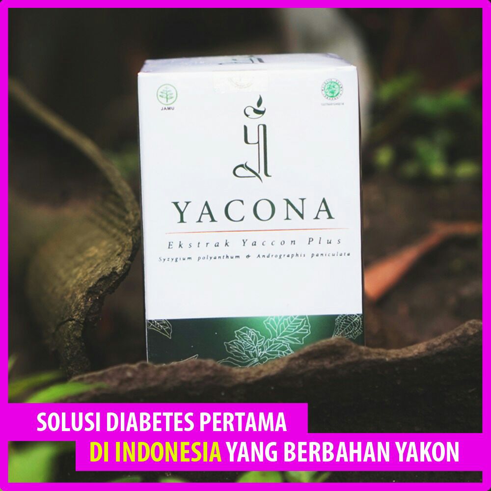 Agen Obat  Diabetes  Asam Urat Kolesterol Yacona Herbal Aman 