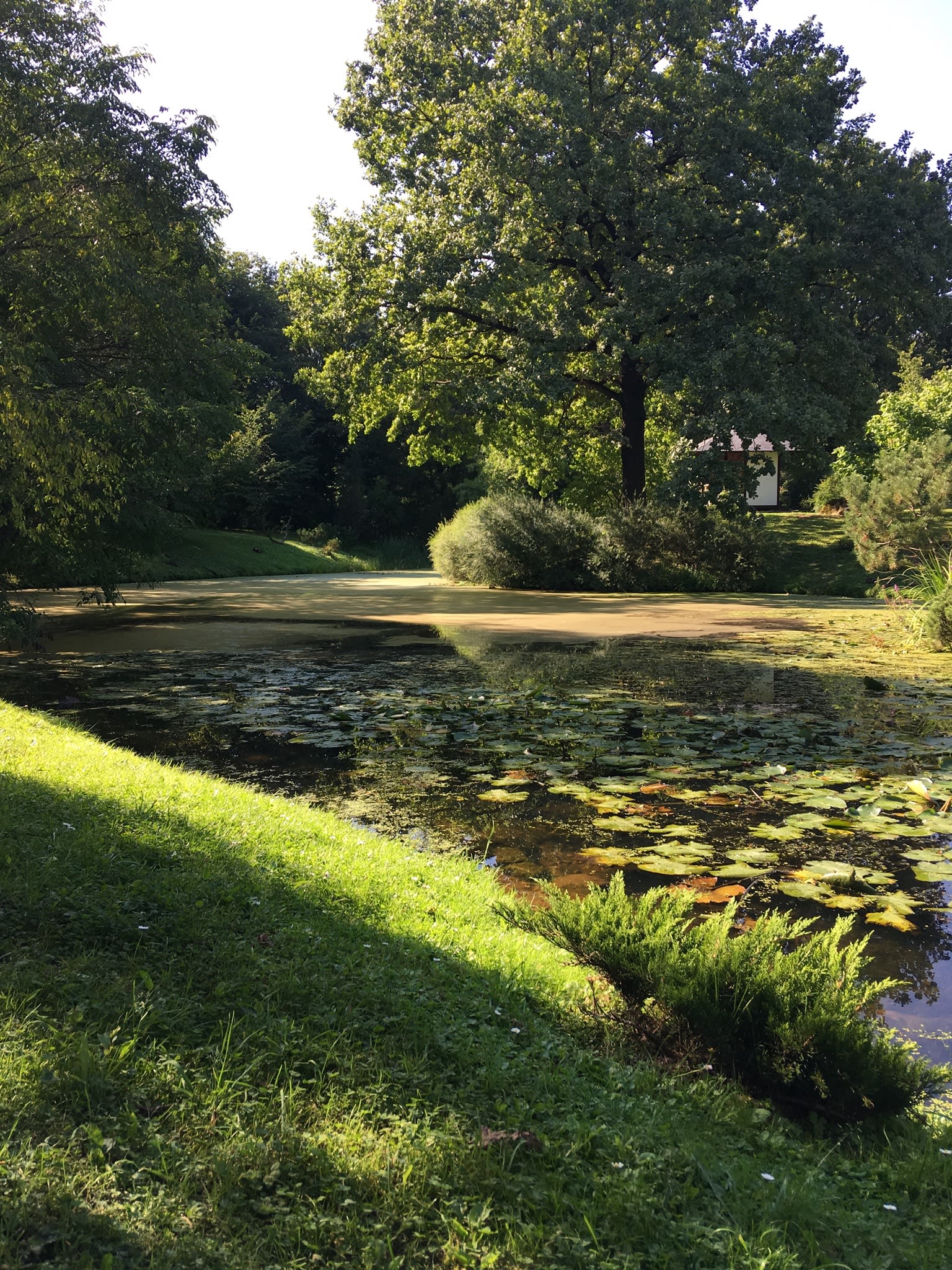 Botanical Garden