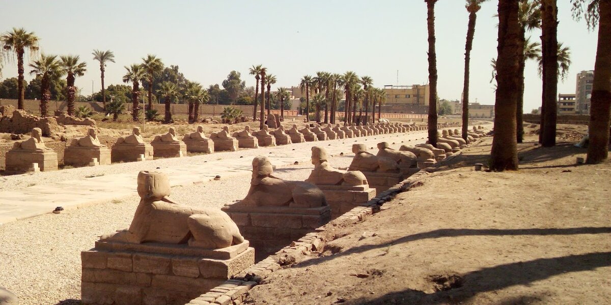 Сфинкс с проспекта сфинкса 111 Сфинкс Карнака - достопримечательности Луксор Египет