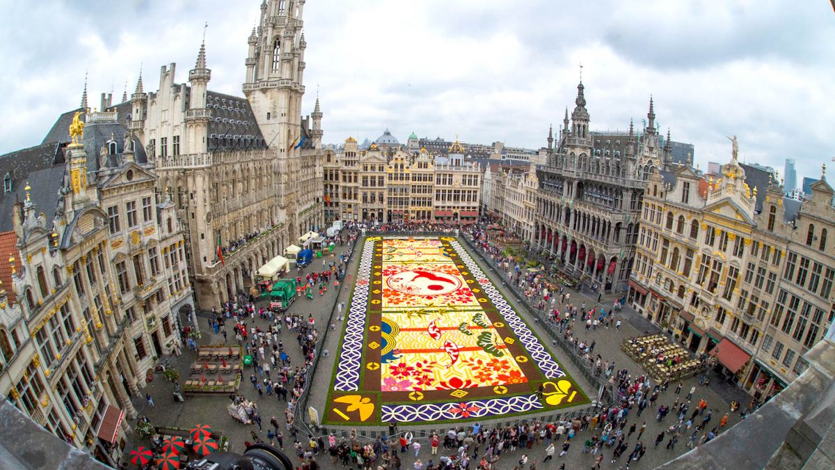 Брюссельский цветочный ковер 111 Брюссельский цветочный ковер