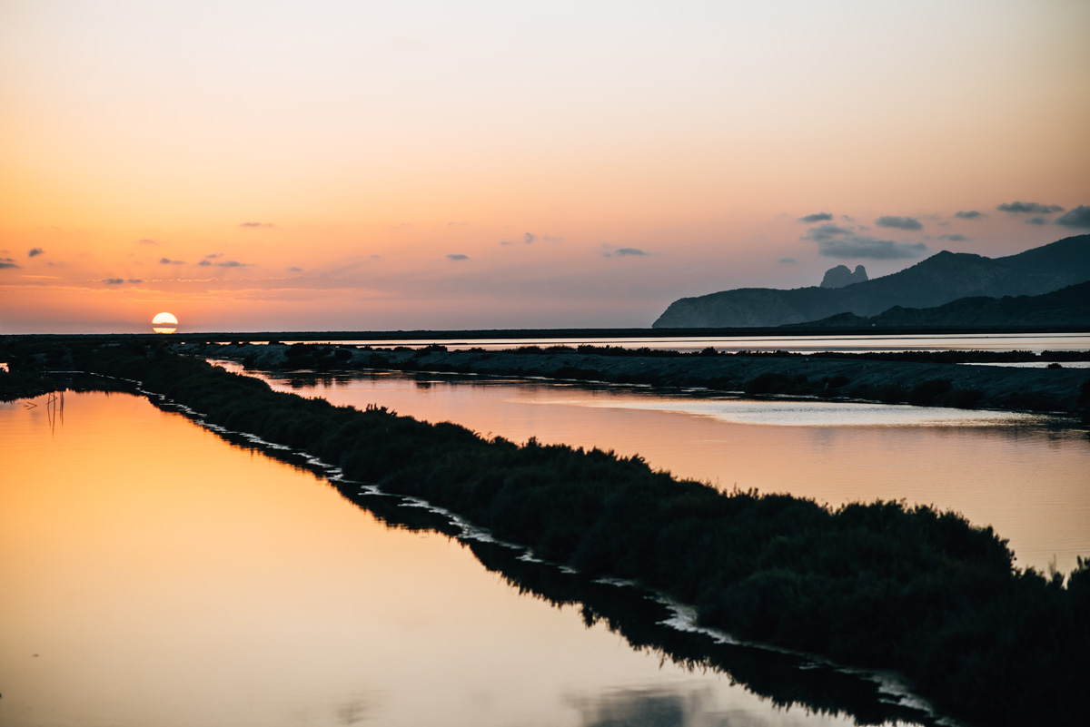 Зальцфельдер Ибица 11 Зальцфельдер Ибица