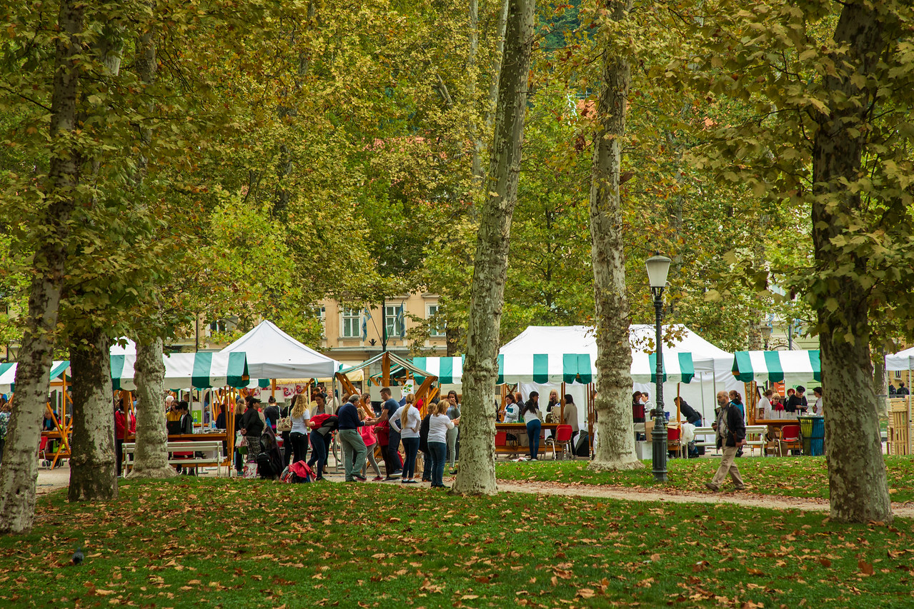 Шоппинг на воскресном рынке Любляна 111 Шоппинг на воскресном рынке Любляна