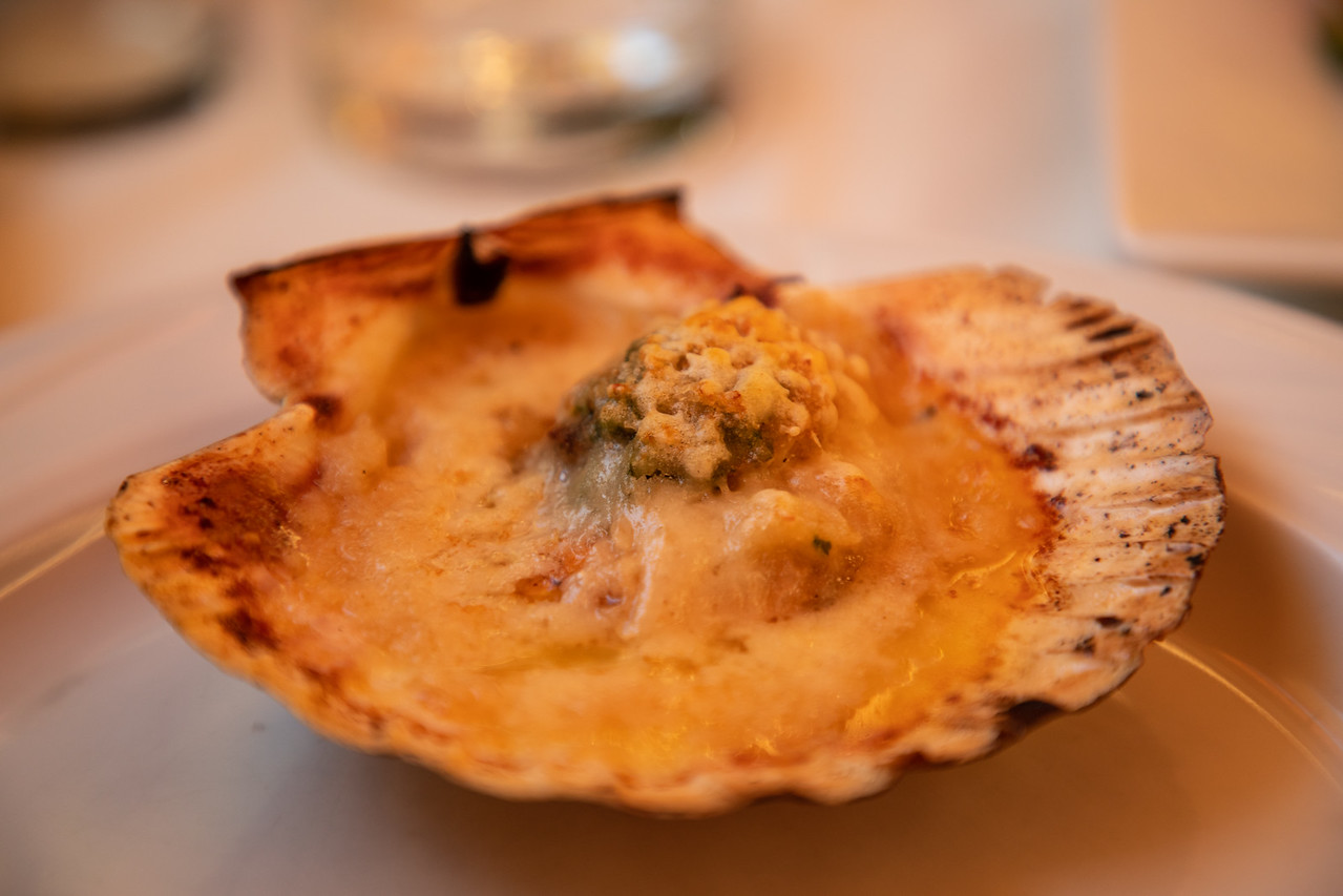 Словенский гребешок 11 Словенский гребешок