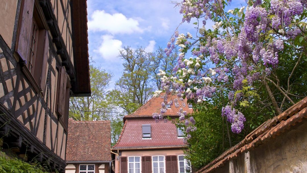 Соляной дом